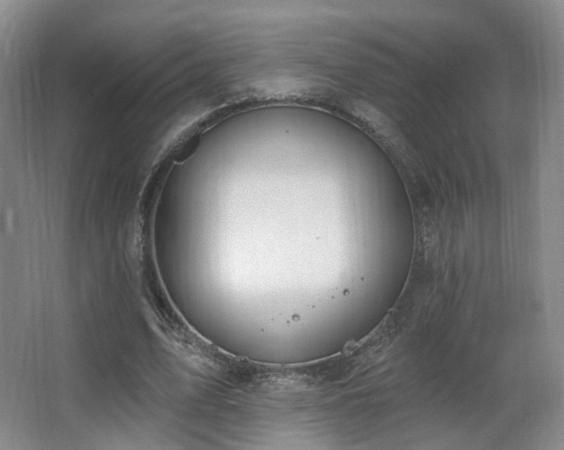 X0000063480583200601201245