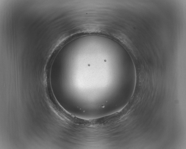 X0000063480584200601201245