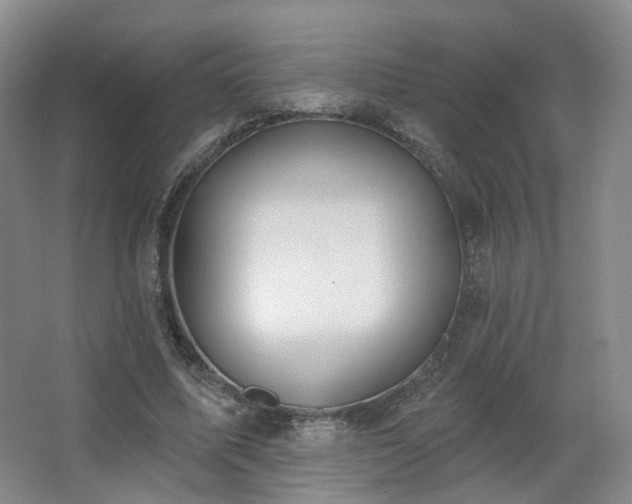 X0000063480587200601201245