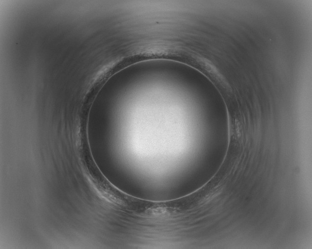 X0000063480588200601201245