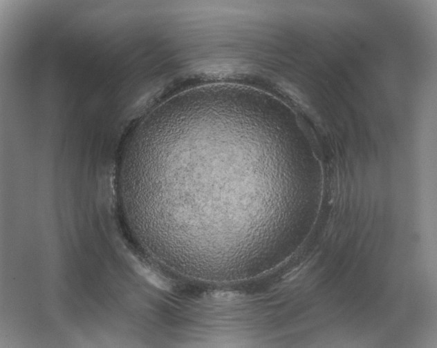 X0000063480590200601201245