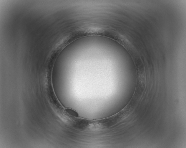 X0000063480591200601201245