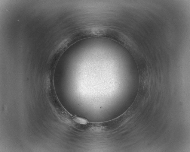 X0000063480595200601201245