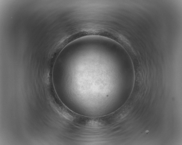 X0000063480596200601201245