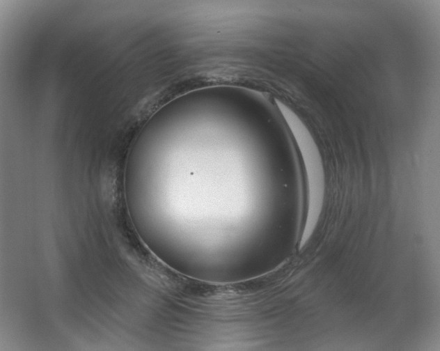 X0000063480600200601201245