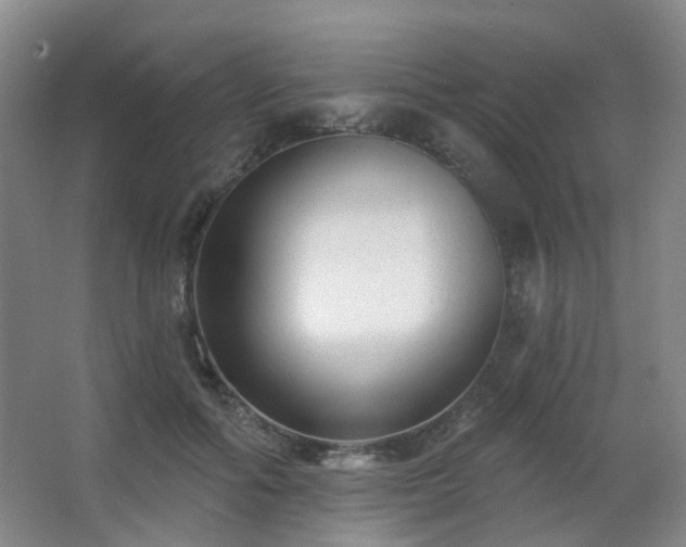 X0000063480602200601201245