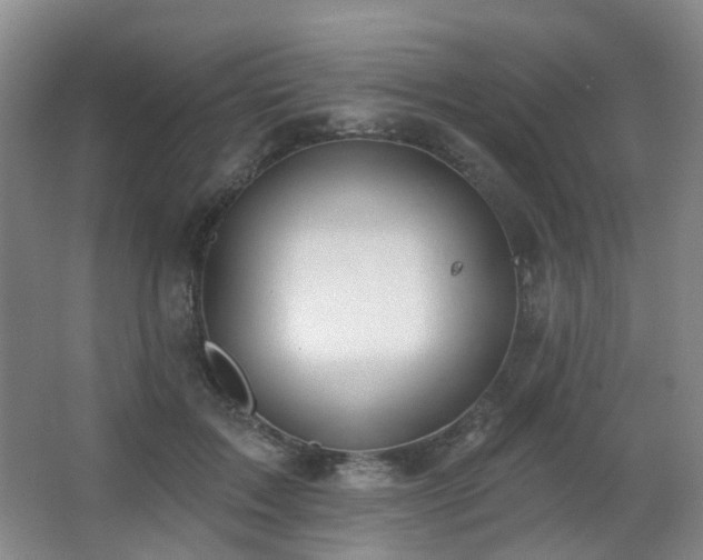 X0000063480603200601201245