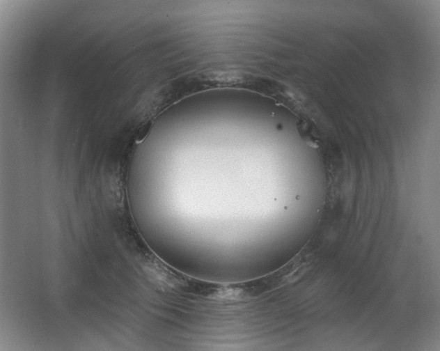 X0000063480609200601201245