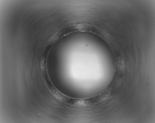 X0000063480611200601201245