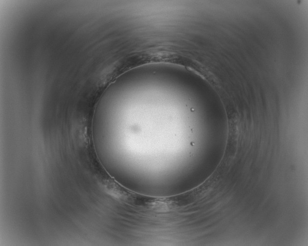 X0000063480615200601201245