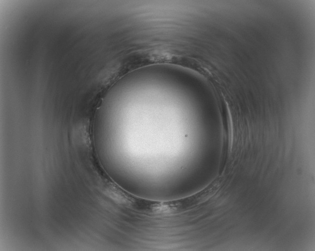 X0000063480616200601201245