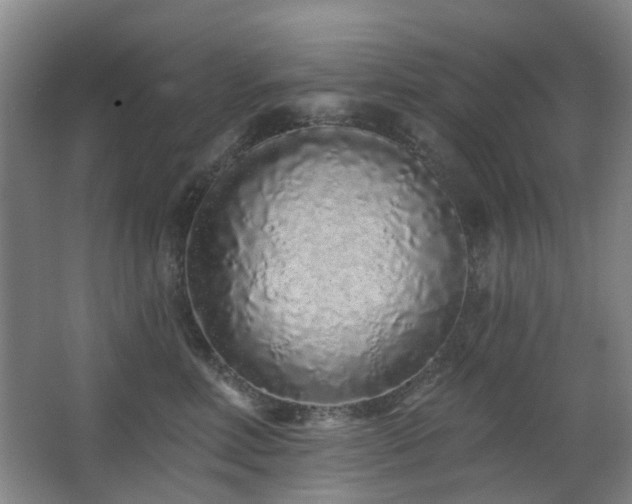 X0000063480618200601201245