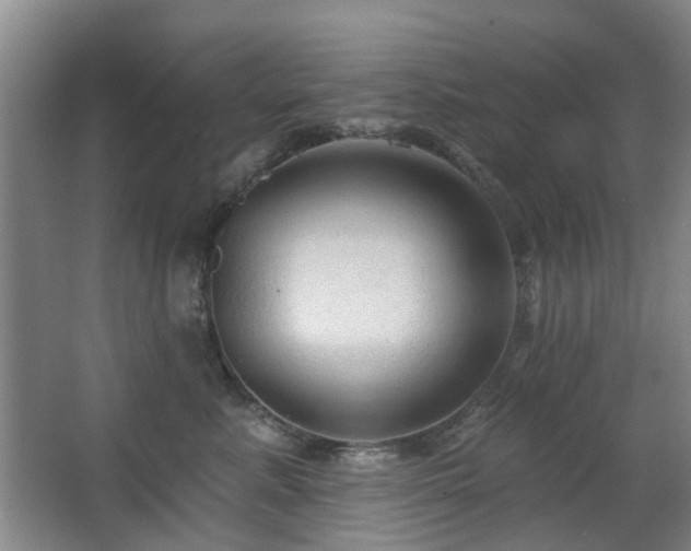 X0000063480619200601201245