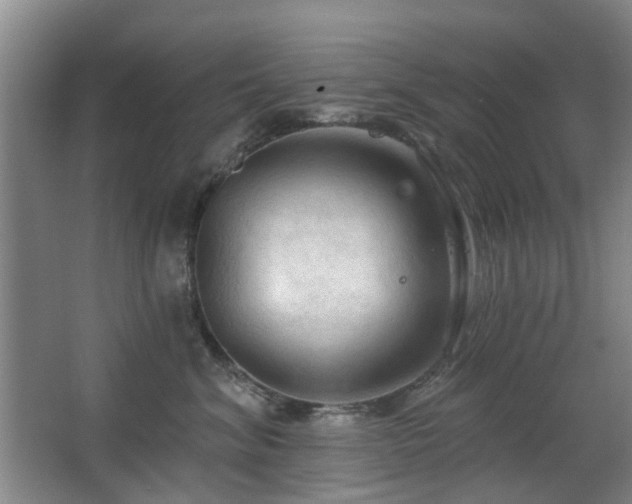 X0000063480620200601201245