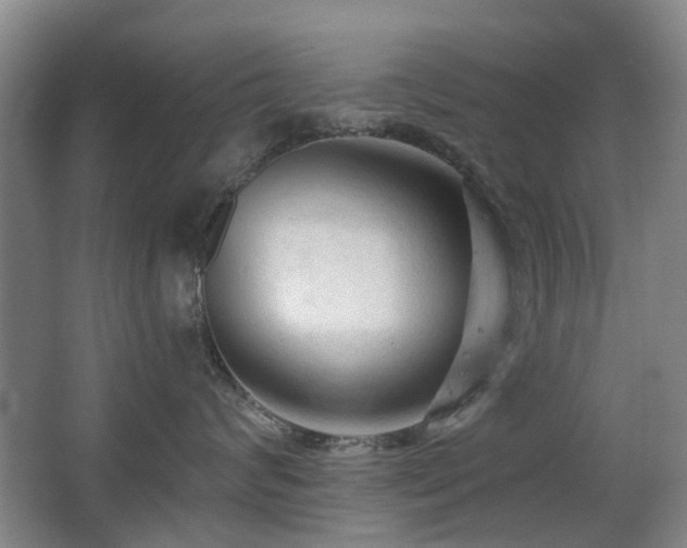 X0000063480624200601201245