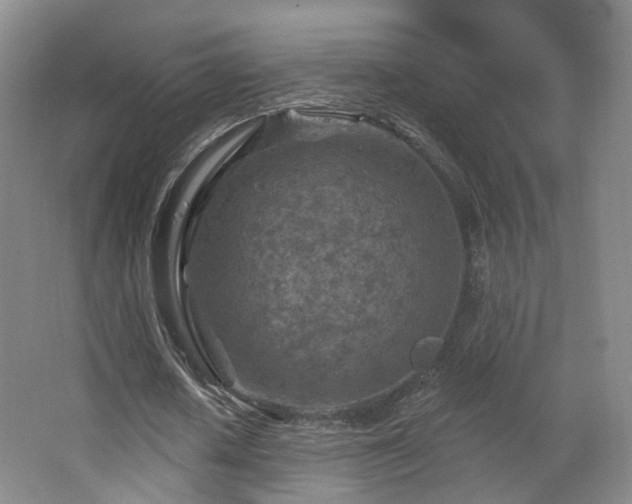 X0000063480626200601201244