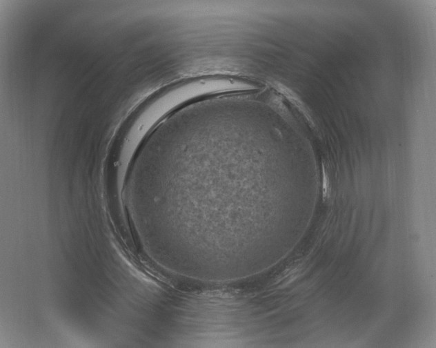 X0000063480627200601201244