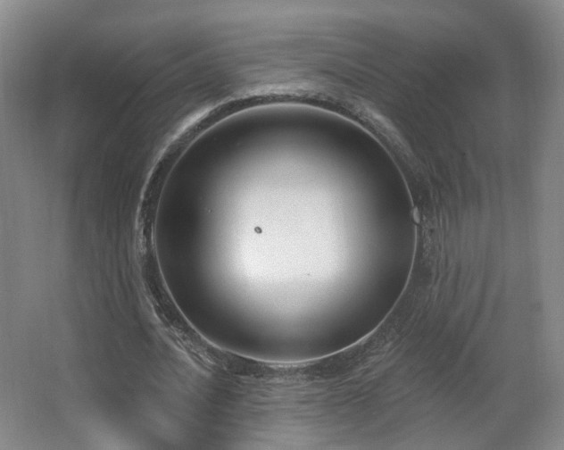 X0000063480628200601201244