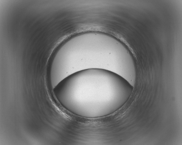 X0000063480629200601201244