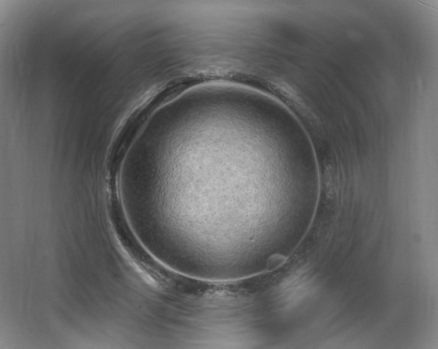 X0000063480634200601201244