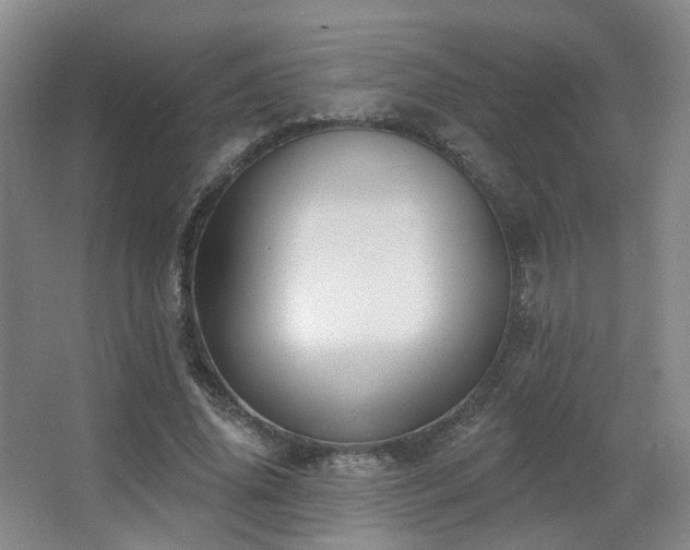 X0000063480636200601201244