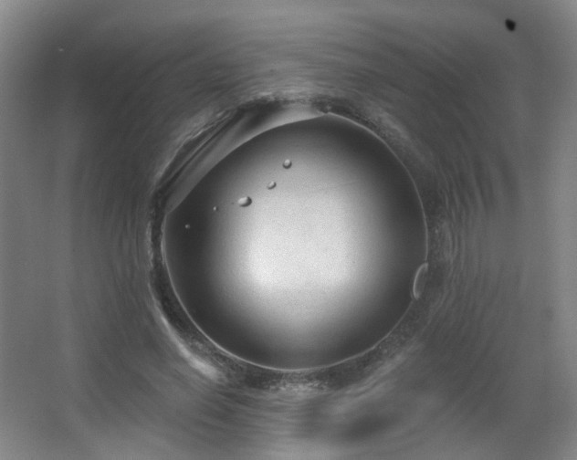 X0000063480638200601201244