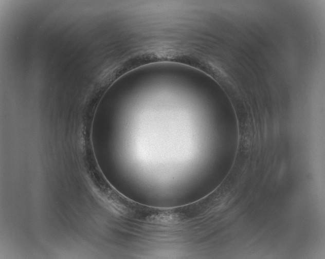 X0000063480639200601201244