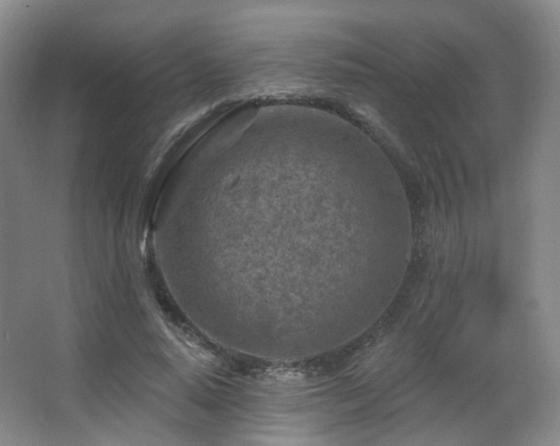 X0000063480640200601201244