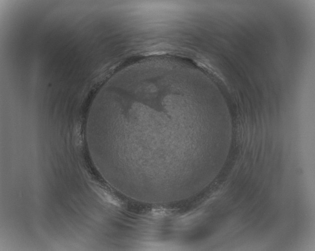 X0000063480641200601201244