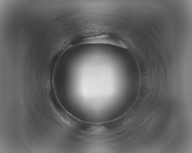 X0000063480642200601201244