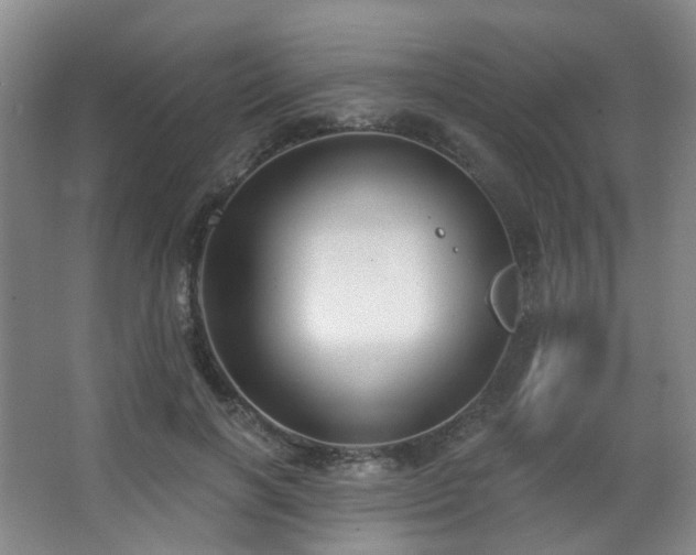 X0000063480646200601201244