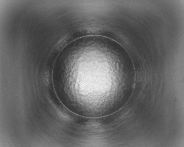 X0000063480648200601201244