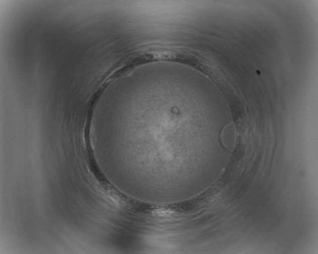 X0000063480650200601201244