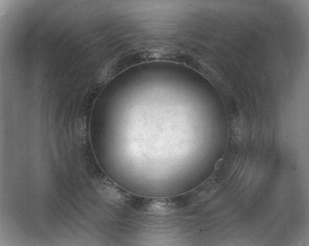 X0000063480657200601201245