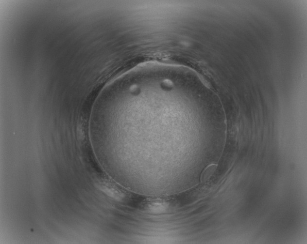 X0000063480658200601201245