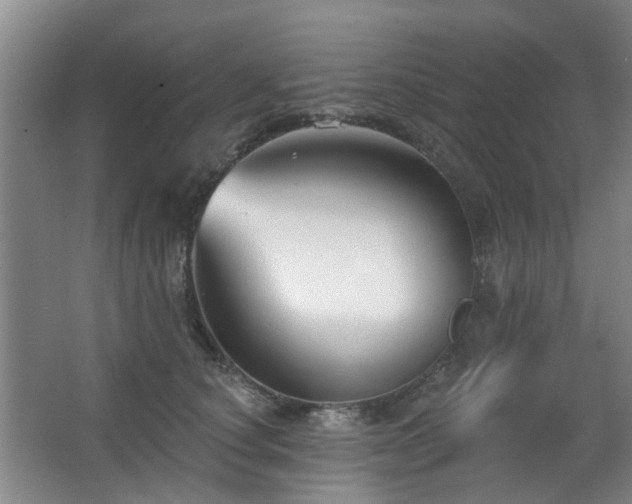 X0000063480660200601201245