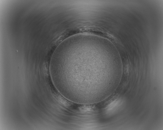 X0000063480661200601201245