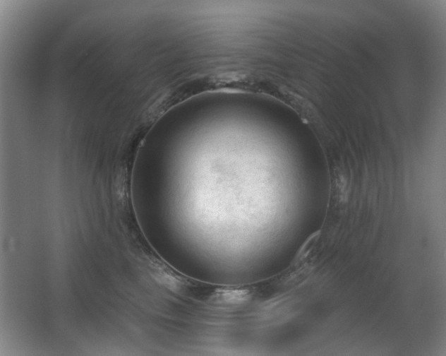 X0000063480665200601201245