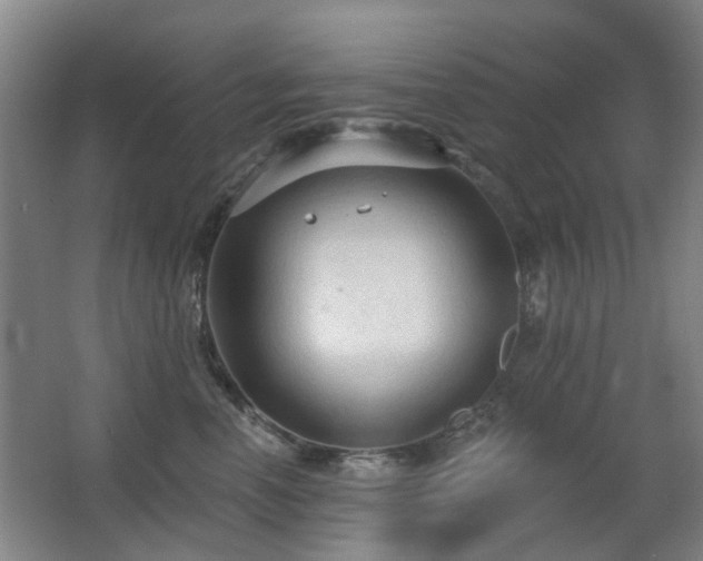 X0000063480666200601201245