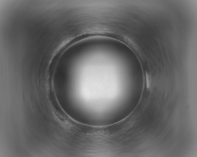 X0000063480675200601201244