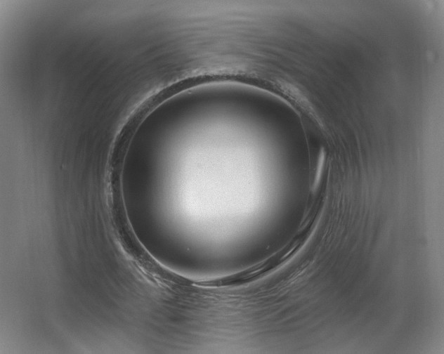 X0000063480676200601201244