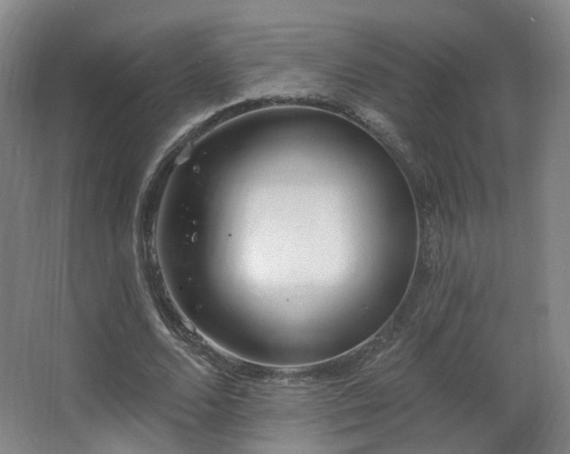 X0000063480680200601201244