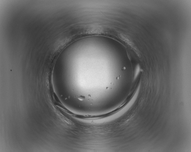 X0000063480681200601201244