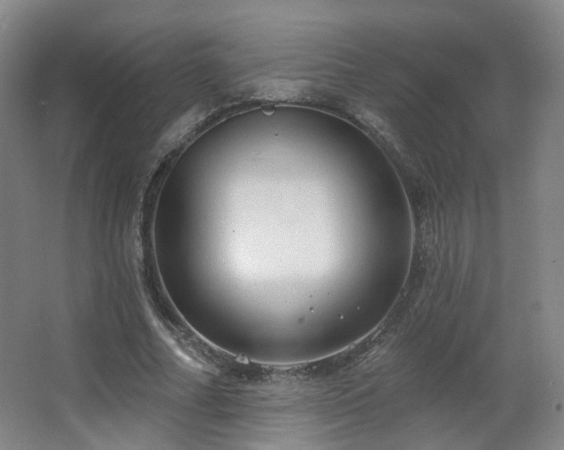 X0000063480682200601201244