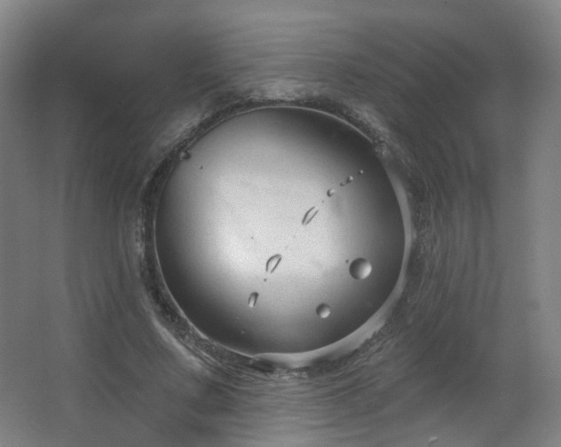 X0000063480683200601201244