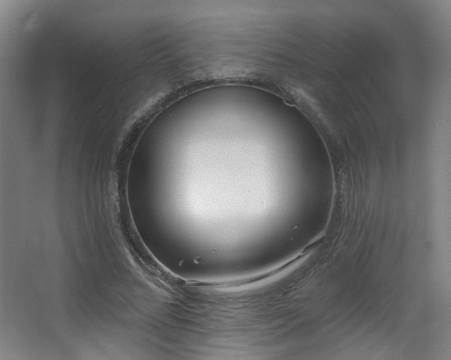 X0000063480684200601201244