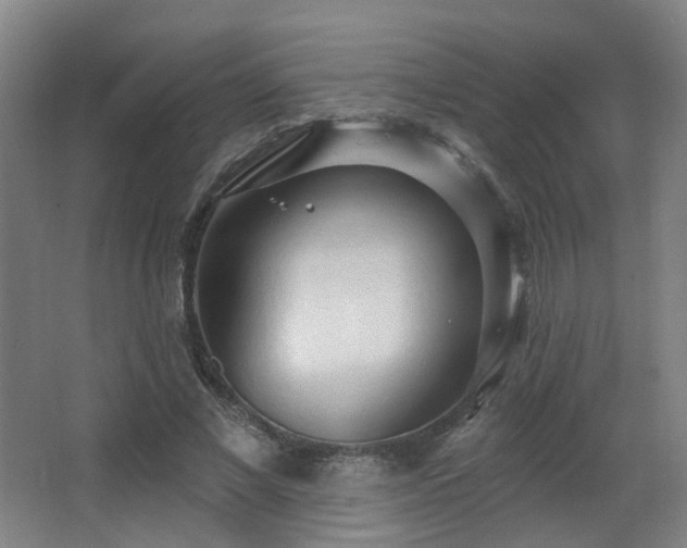 X0000063480685200601201244