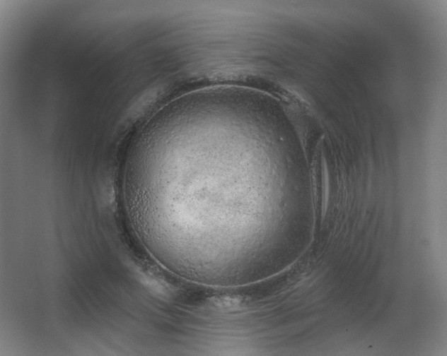 X0000063480687200601201244