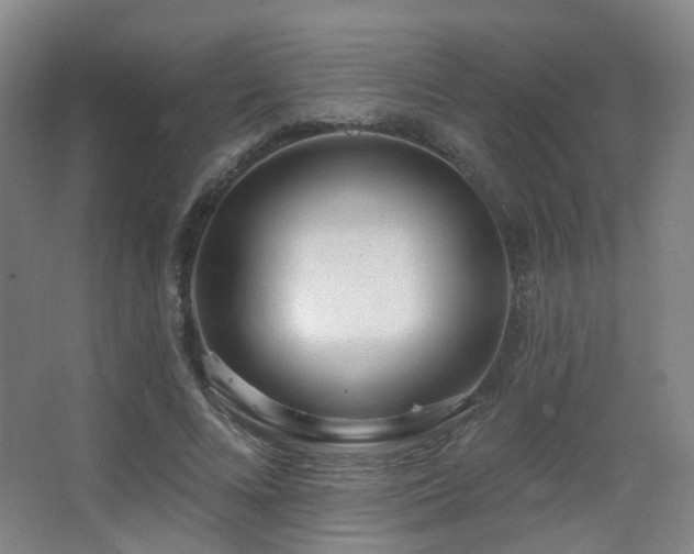 X0000063480688200601201244