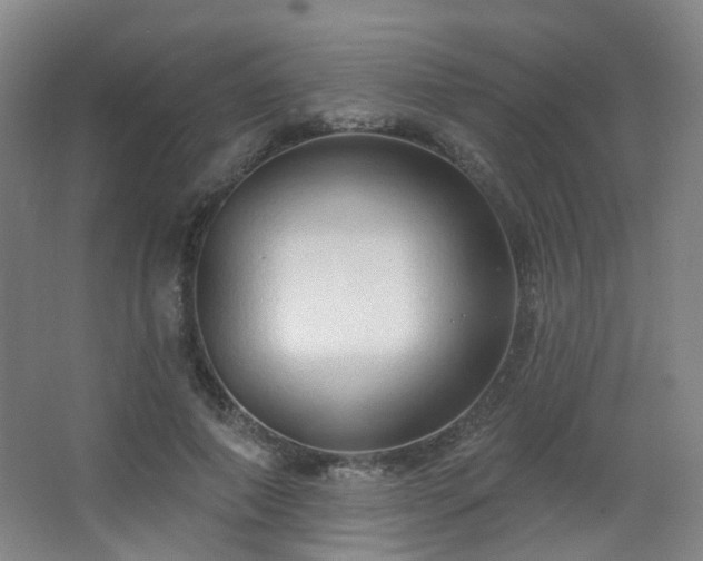 X0000063480690200601201244